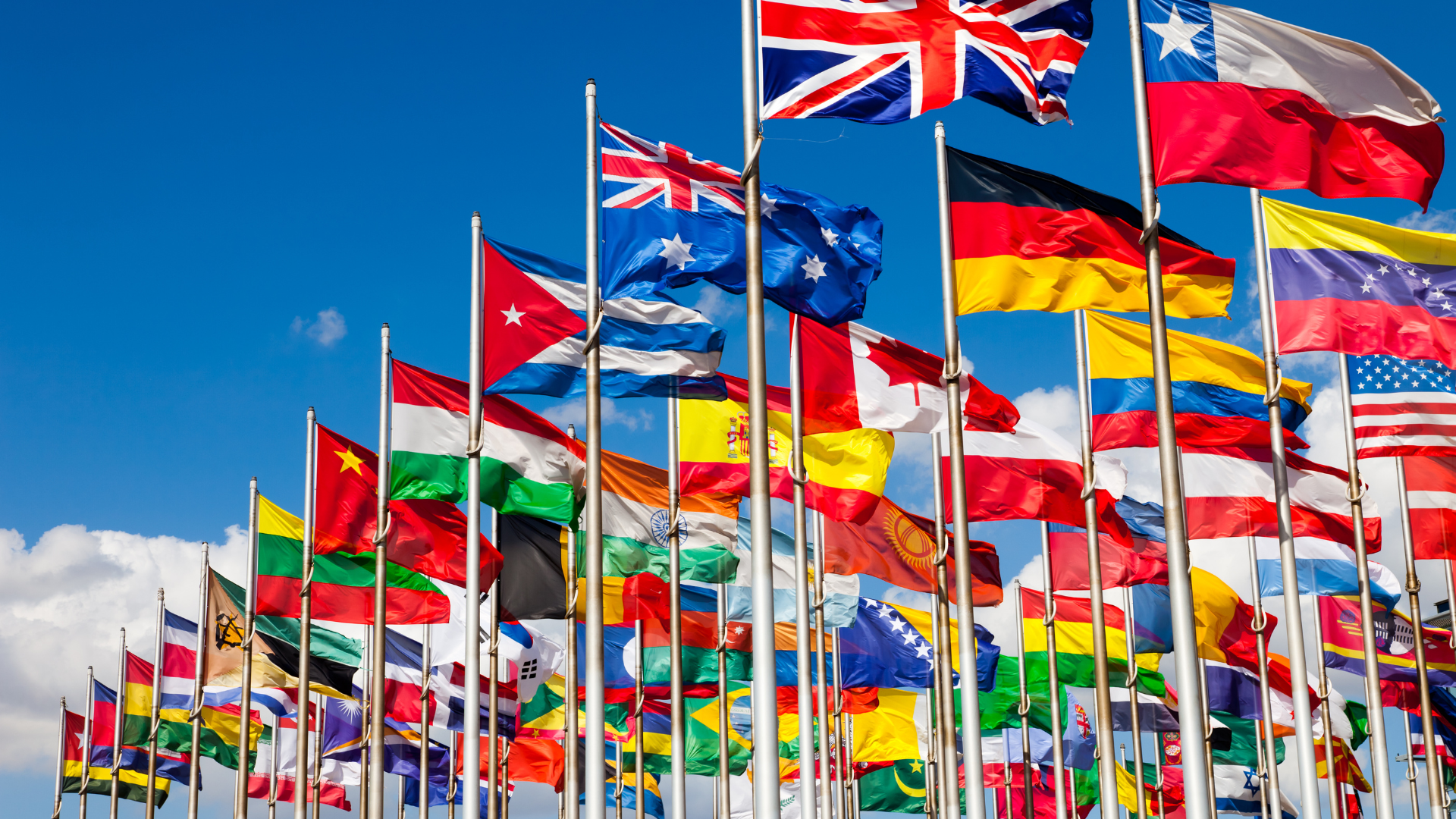 Développement international