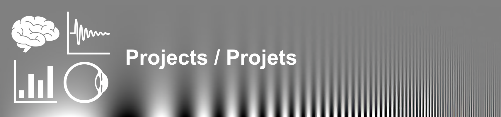 ViscoreProjectsBanner