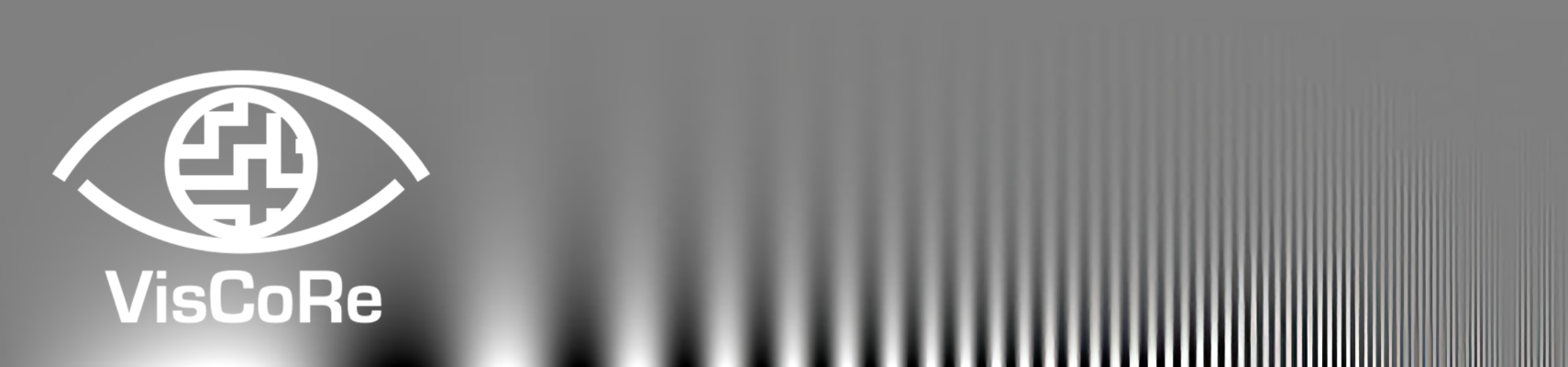 ViscoreBannerWhiteLogo ViscoreBannerWhiteLogo